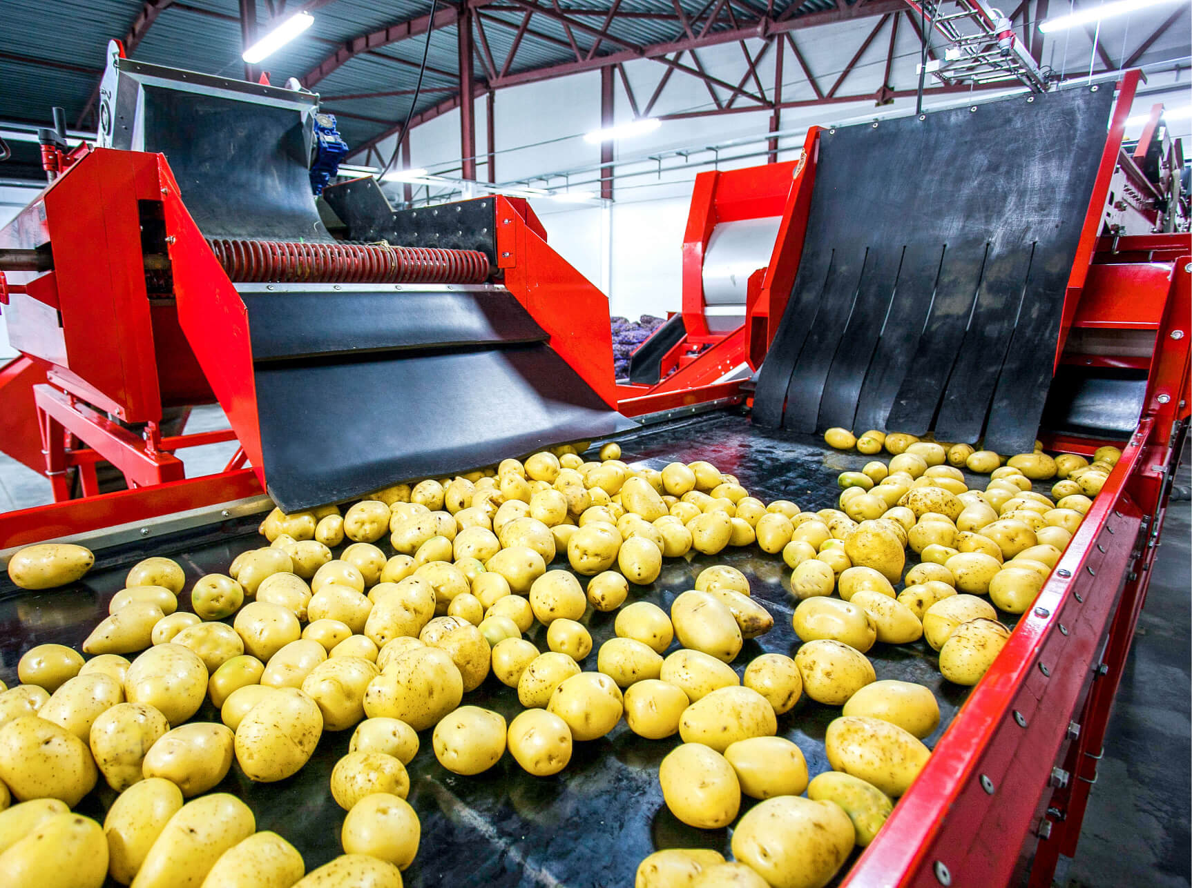 Detail of a Potato Chip Manufacturing Plant.